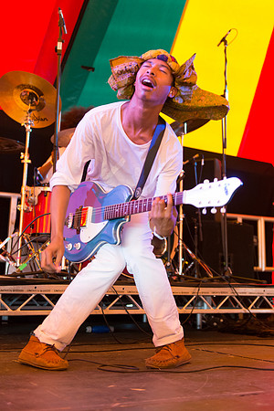 The Bots - Truck Festival 2013